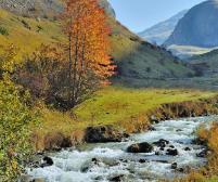 � Ivan S. Abrams l www.beinkosovo.com